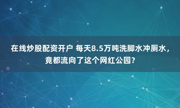 在线炒股配资开户 每天8.5万吨洗脚水冲厕水，竟都流向了这个网红公园？