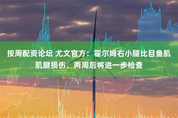按周配资论坛 尤文官方：霍尔姆右小腿比目鱼肌肌腱损伤，两周后将进一步检查